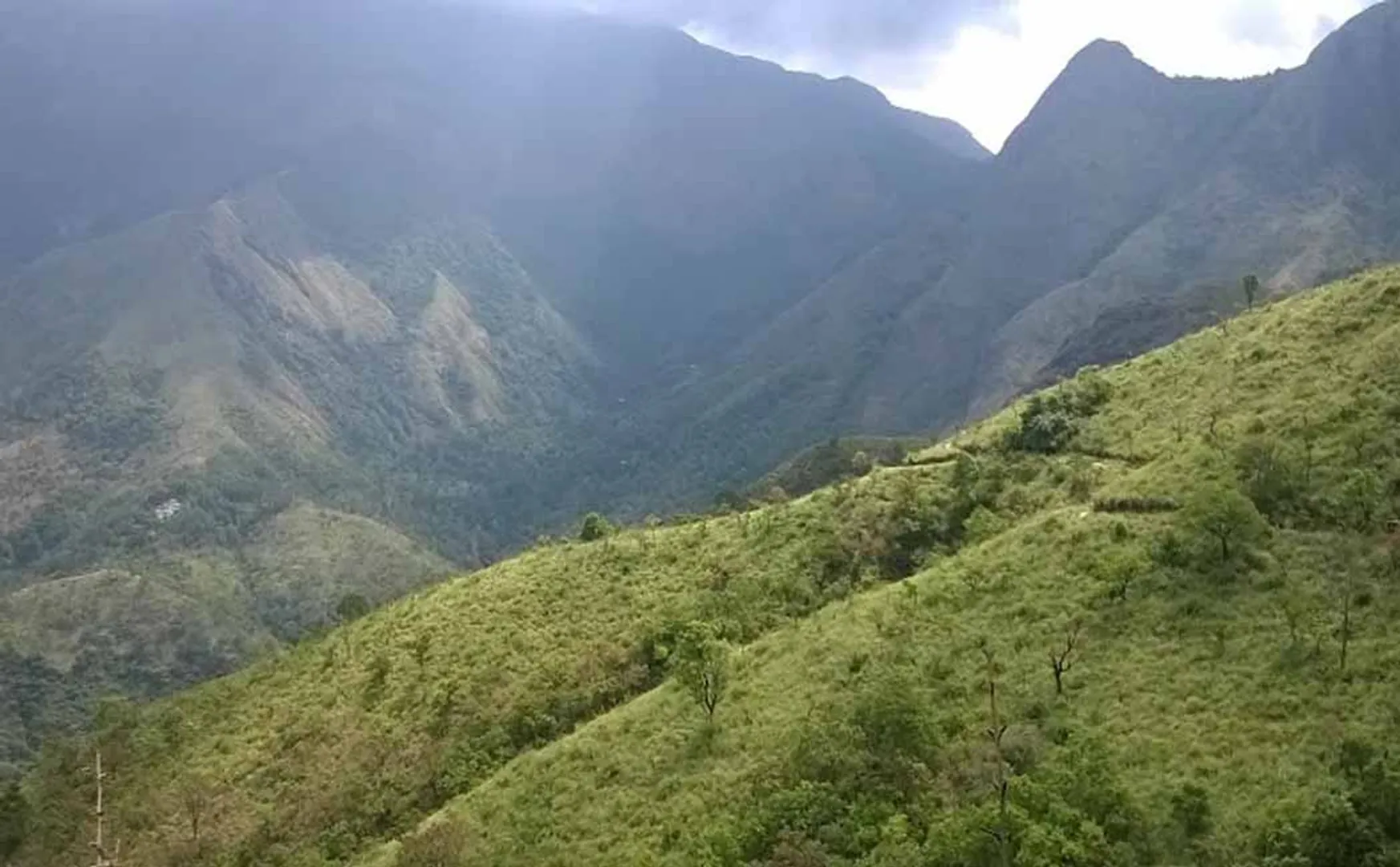 theni forest area incident 